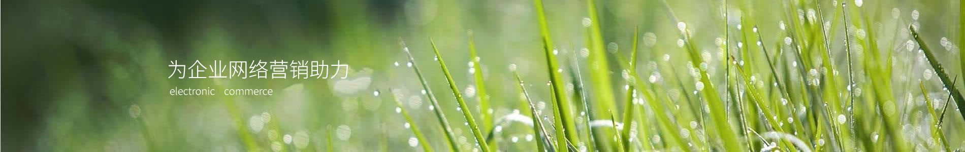 ںʵƼ޹˾